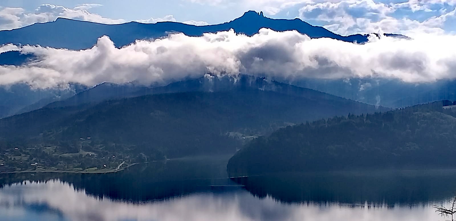 “AURUL VERDE” al NEAMȚULUI. Potențialul plantelor medicinale, polenizatorii și agricultura organică.