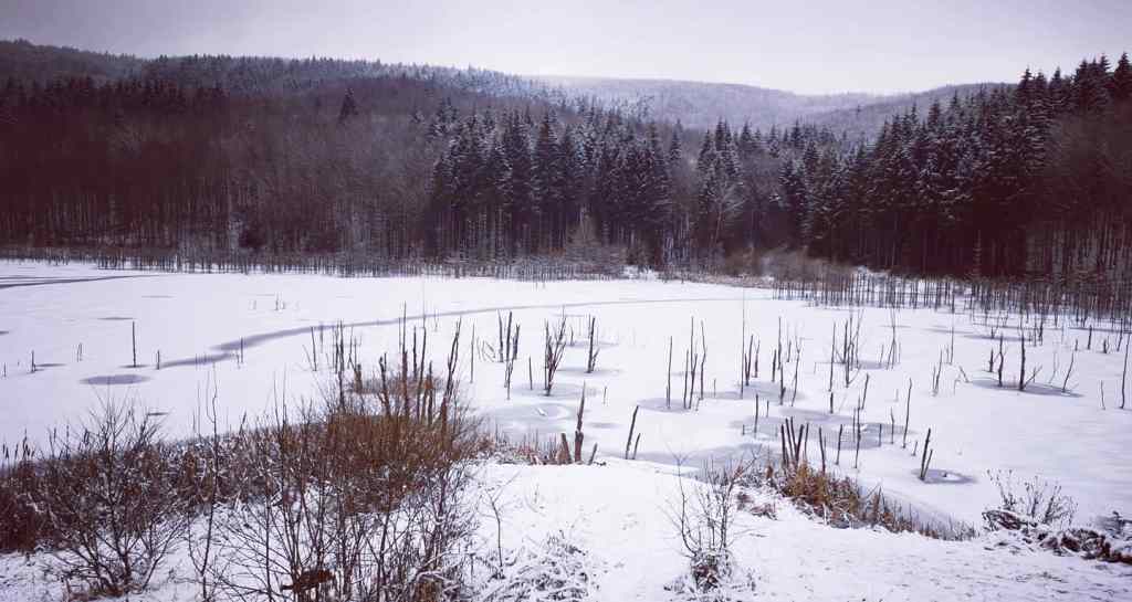 ECOTURISMUL: obiectiv #RebrandingNeamț – #INTRO #Lacul&nbsp;#Cuejdel