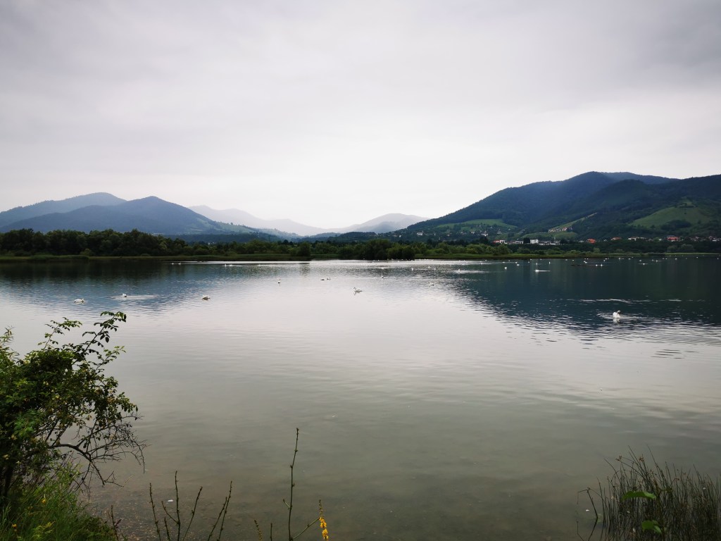 Cetatea PETRODAVA – BÂTCA DOAMNEI: obiectiv #RebrandingNeamț