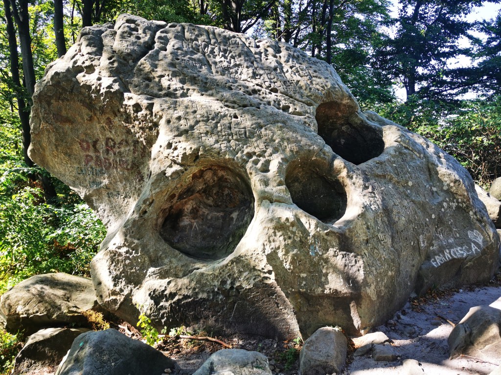 COZLA – REZERVAȚIE NATURALĂ PALEONTOLOGICĂ, un monument de natură&nbsp;urbană